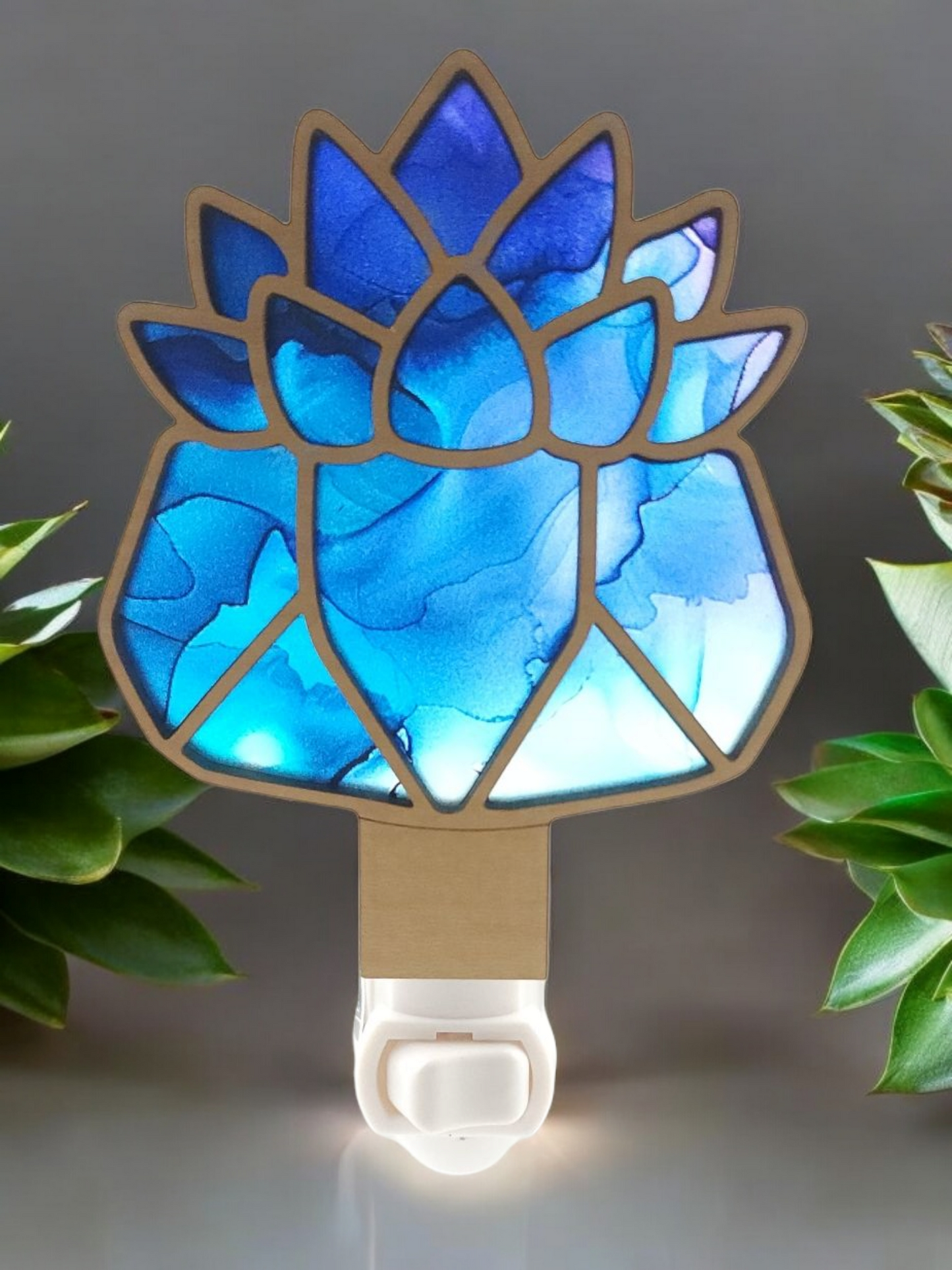 Succulent Night Light - Wide